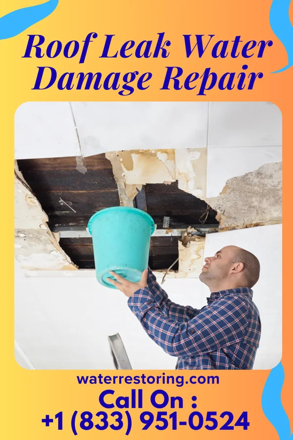 Roof Leak Water Damage Repair in Hannahs Mill, GA