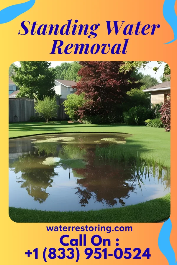 Standing Water Removal in Hannahs Mill, GA
